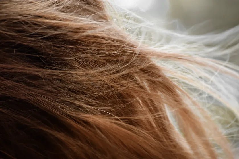 Loose brown hair lifting in the air, backlit by soft daylight