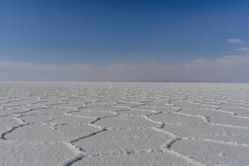 A dry salt flat cracked into pale geometric plates under a clear sky